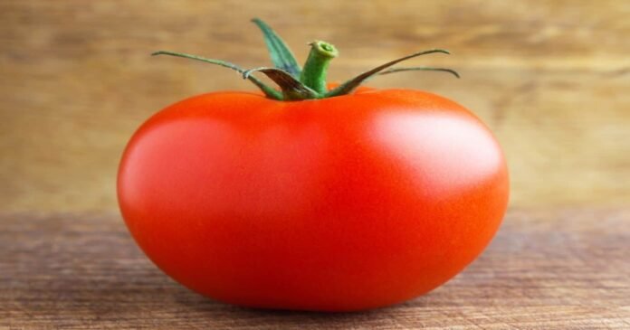 celebrity tomato